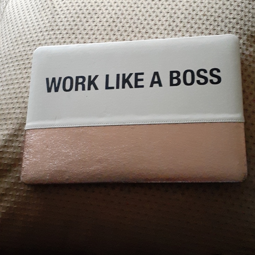 MacBook Air  carry bag